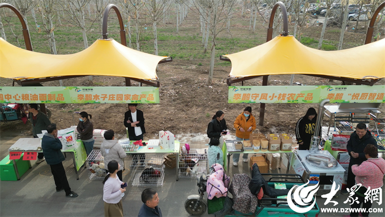 匠心傳承，共富同行 廣饒縣李鵲鎮(zhèn)“好品李鵲共富市集”上的麥秸畫藝術